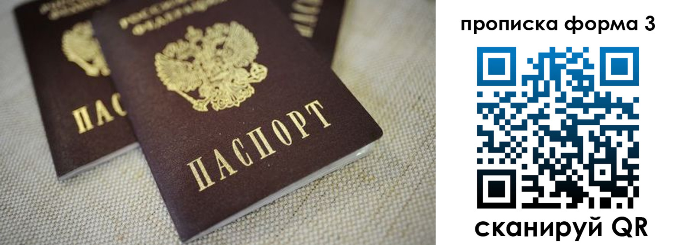прописка поиск в Петровске